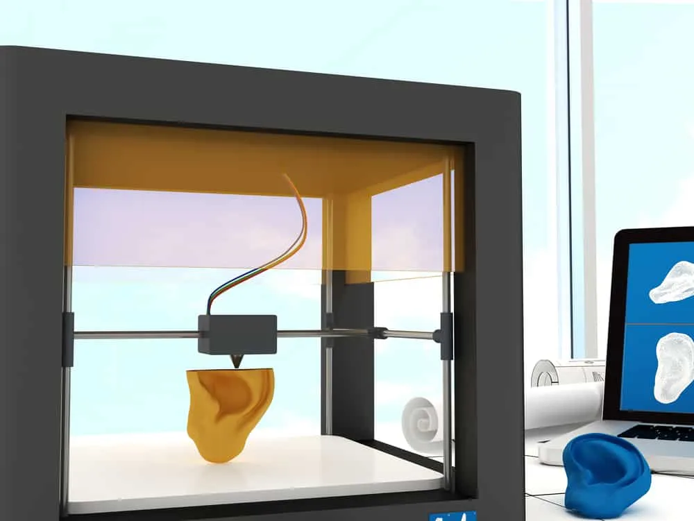 3D Print Ear 3D Print Ear